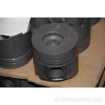 Động cơ Piston CY4100